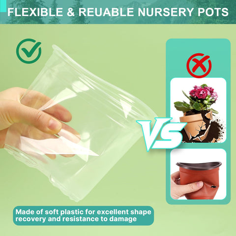 OUPSAUI seedling propagation pot ideal for cuttings and roots.