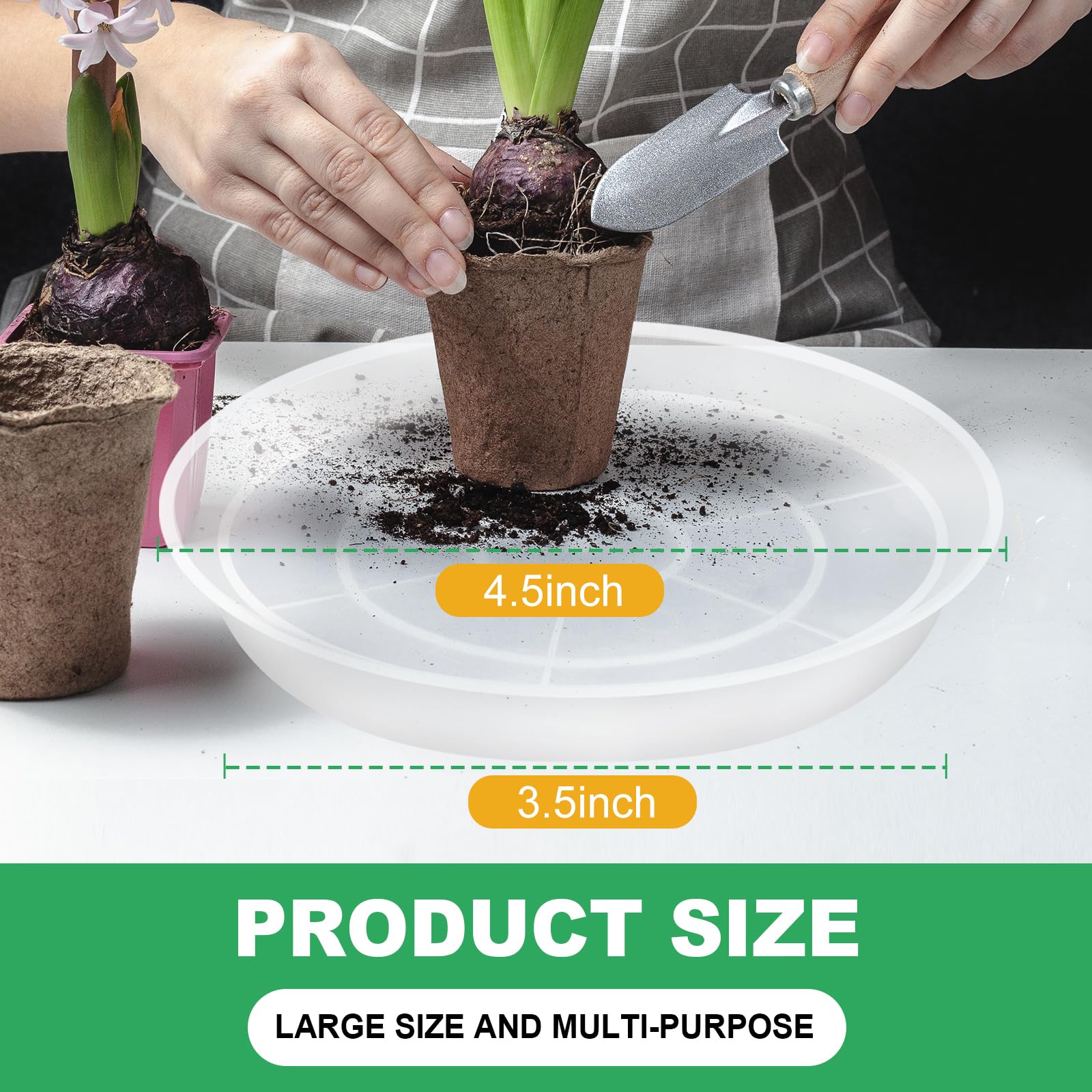 OUPSAUI transparent plant saucer under pot for neat color harmony.