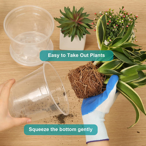 OUPSAUI versatile pot for vegetables, herbs, and succulents.