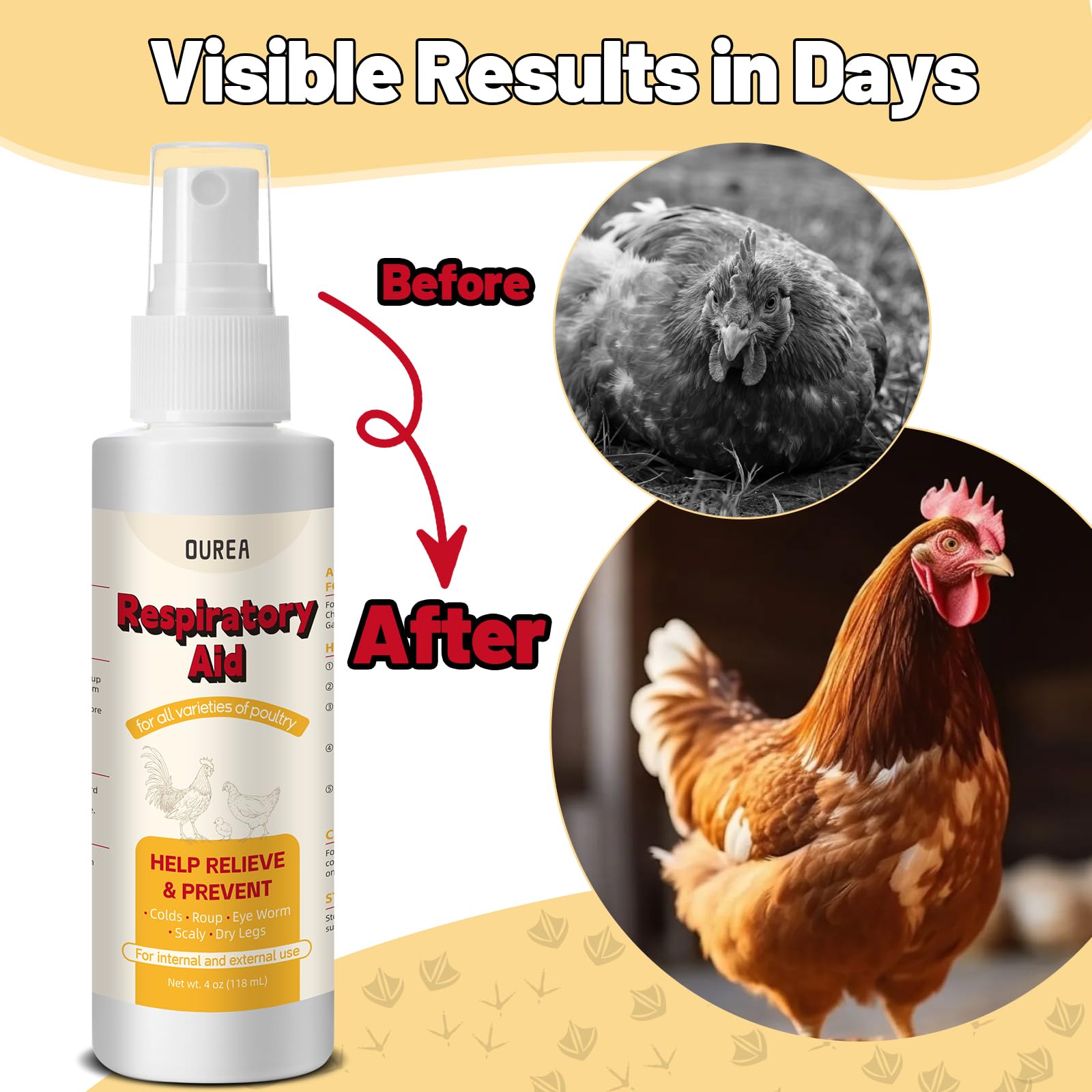 Birds drinking water with OUREA Respiratory Aid added.