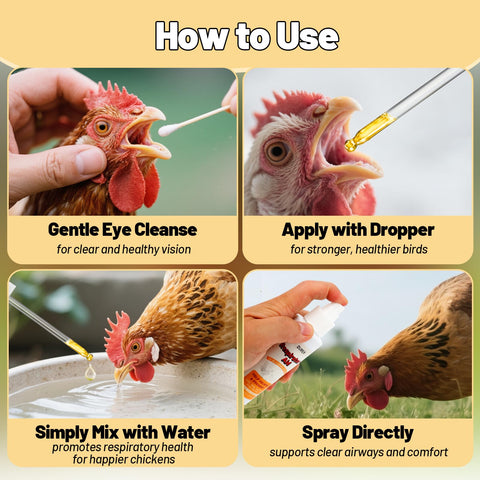 Coop scene showing birds benefiting from respiratory support.