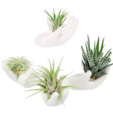 Ourhommie ceramic air plant holder hand-shaped white, ideal for desk display with low maintenance.