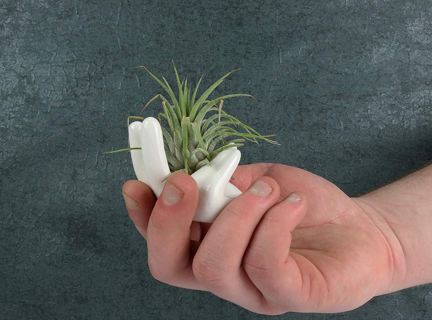 Ourhommie compact ceramic holder promotes tidy, space-saving plant arrangements.