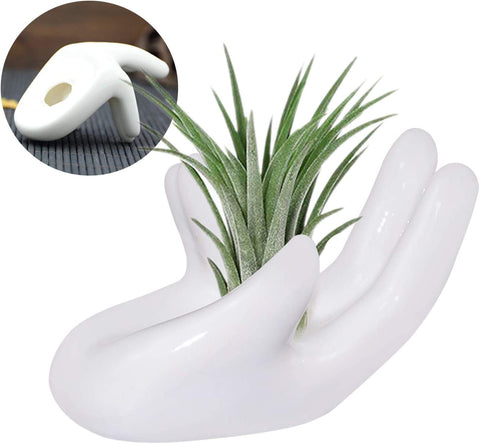 Ourhommie ceramic display for fairy garden or micro landscape setups.