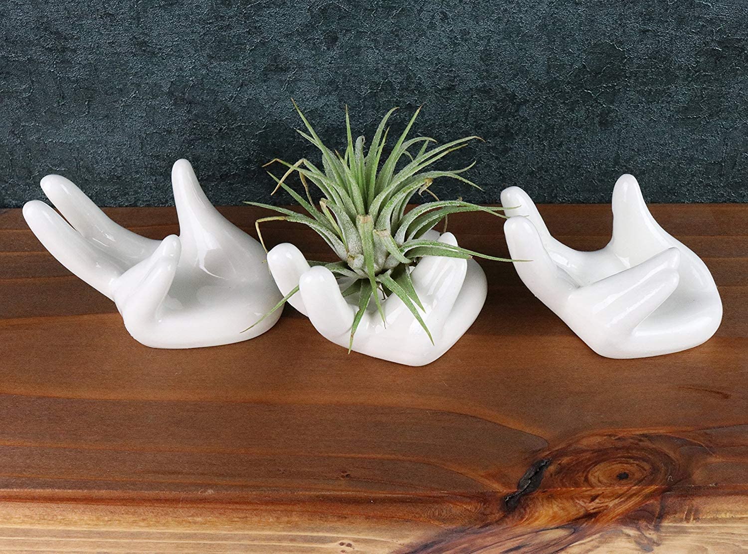 Ourhommie mini air plant holder white, perfect for shelves and windowsills.