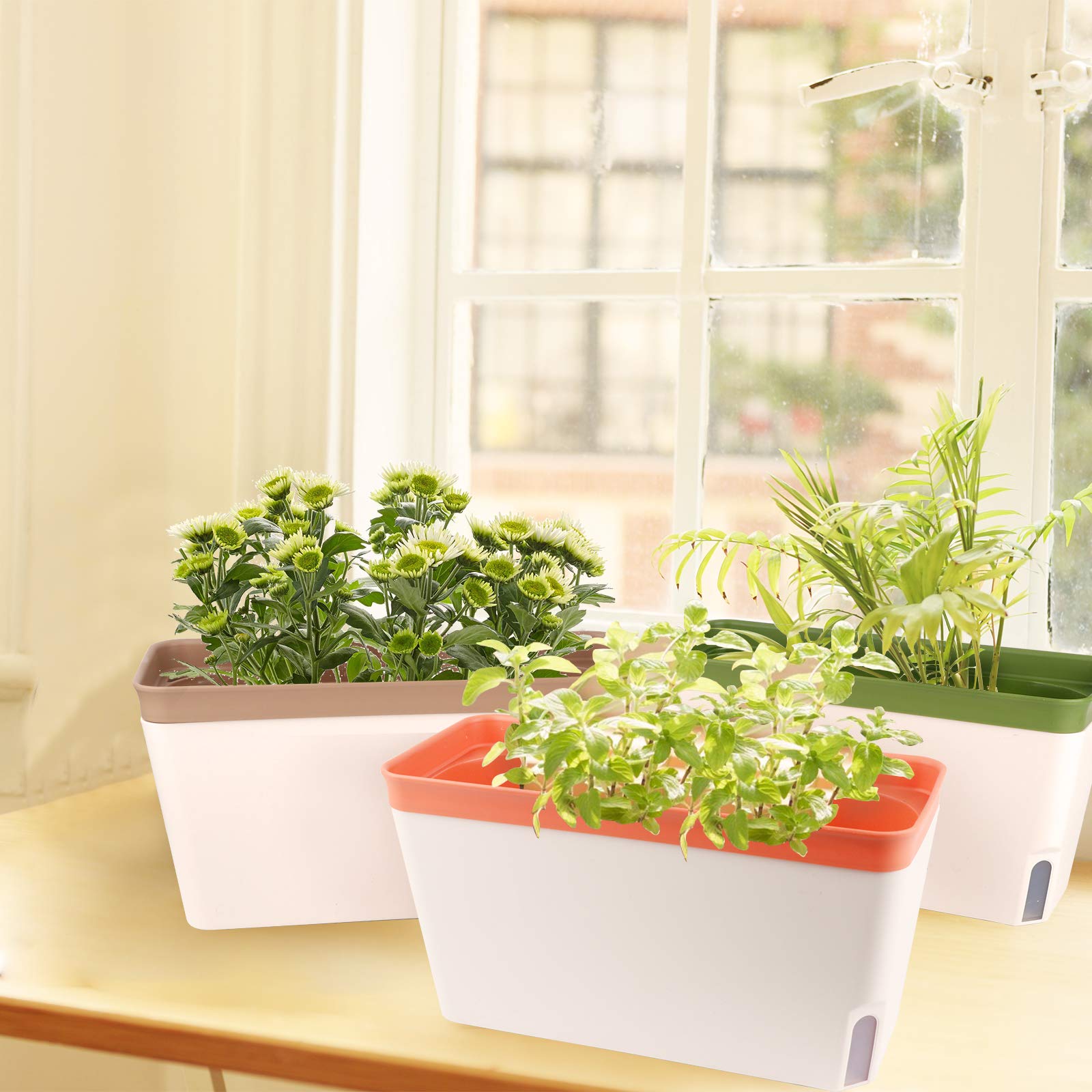 OurWarm three pack indoor garden setup for herbs vegetables and succulents