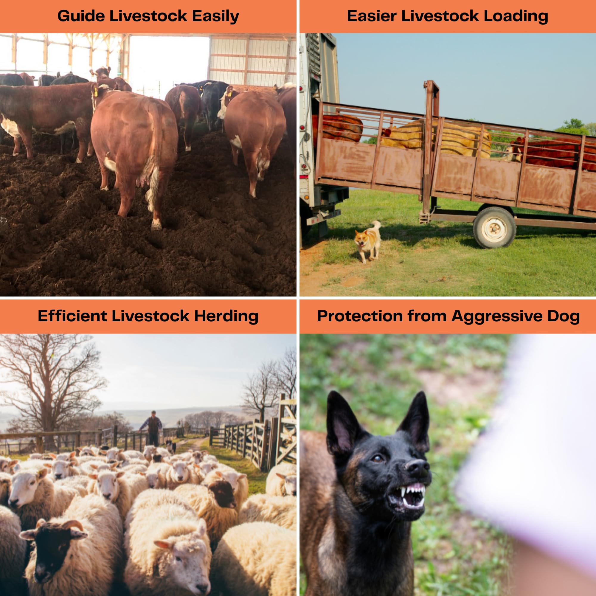 OUTPHORCE cattle prod dual LED lights improve visibility during dusk tasks.