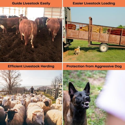 OUTPHORCE cattle prod dual LED lights improve visibility during dusk tasks.