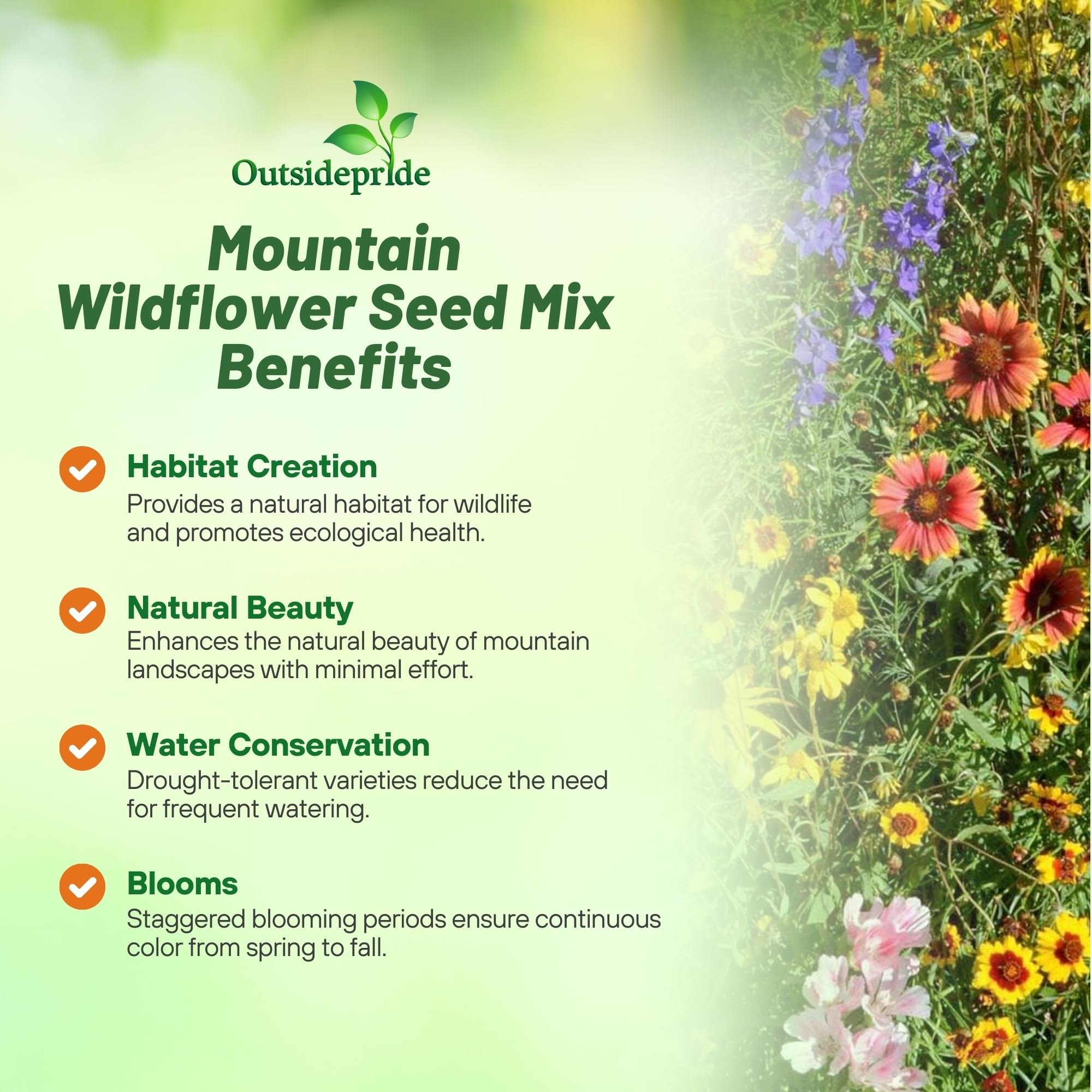 Outsidepride Mountain Wild Flower Seed Mix features tall 36-48 inch blooms.