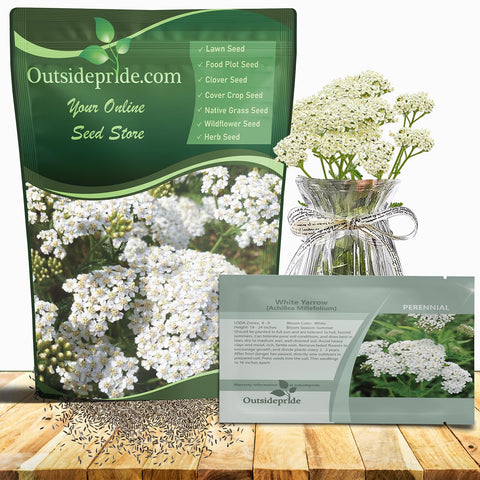Outsidepride Achillea Millefolium Wild White Yarrow seeds in a seed packet for sunny, low-maintenance borders.