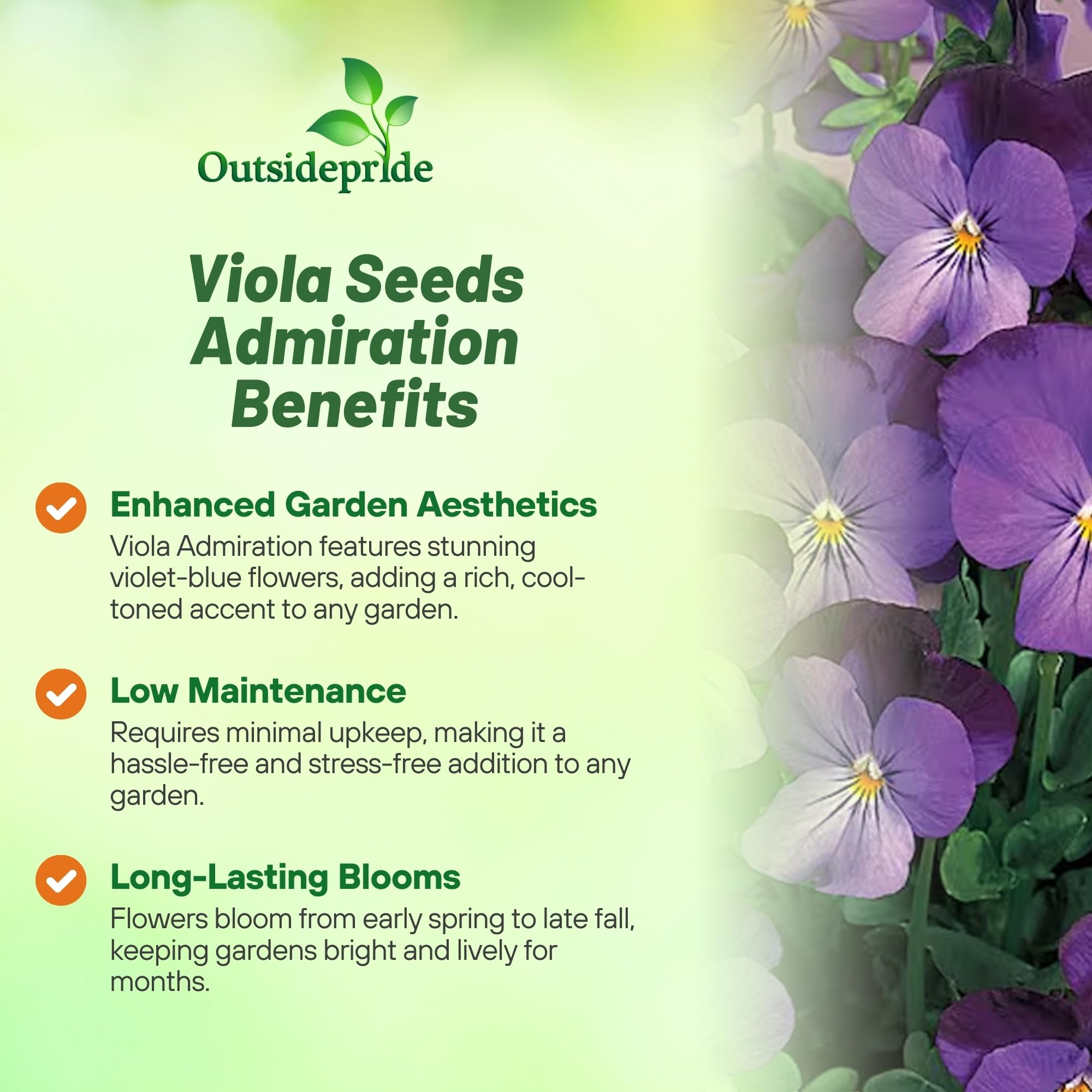 Outsidepride Admiration viola pansy seeds border-garden color booster.