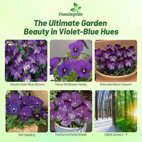 Outsidepride Admiration viola pansy seeds container-display ready for small patios.