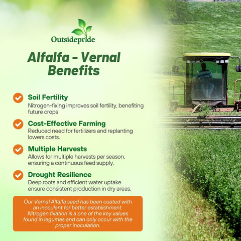 Outsidepride vernal alfalfa seed supporting pasture grazing use case