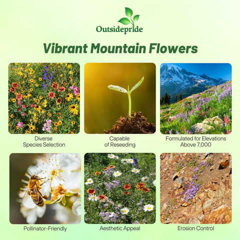 Outsidepride Mountain Wild Flower Seed Mix balances annuals and perennials for long bloom.