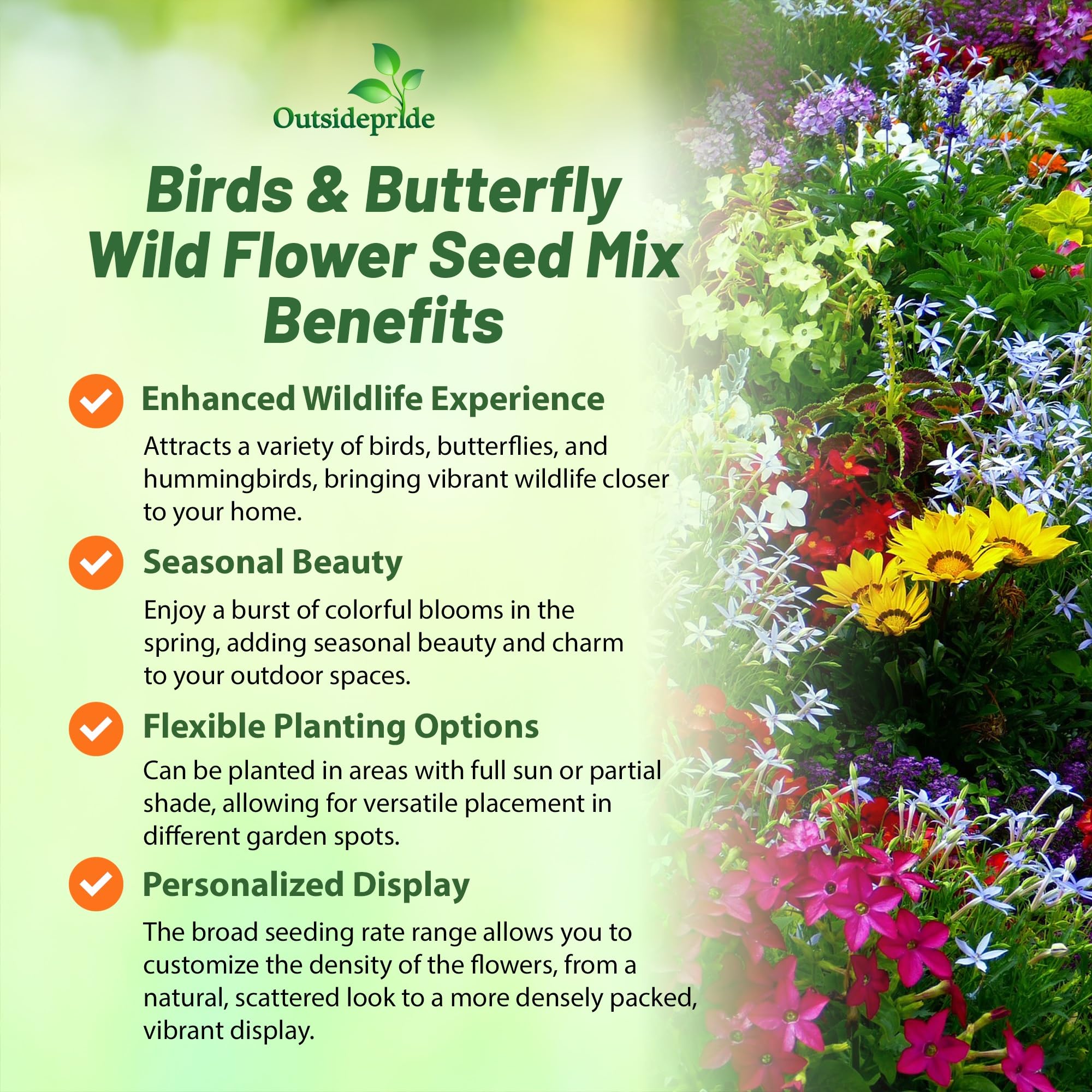Outsidepride annual-perennial blend provides continuous color for the garden