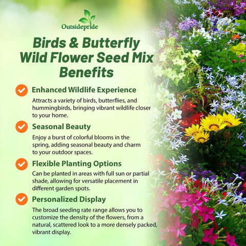 Outsidepride annual-perennial blend provides continuous color for the garden