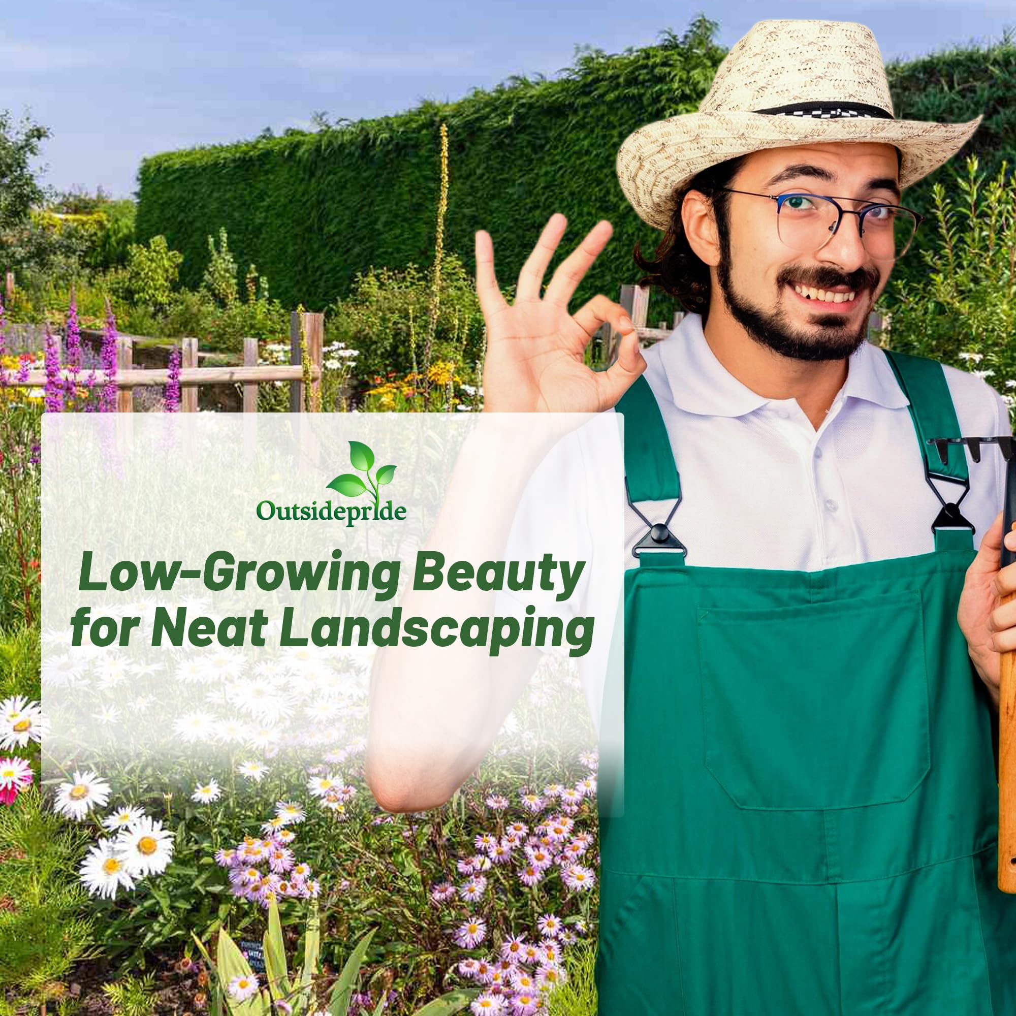 Outsidepride annual-perennial mix provides long-season color across beds and meadows.