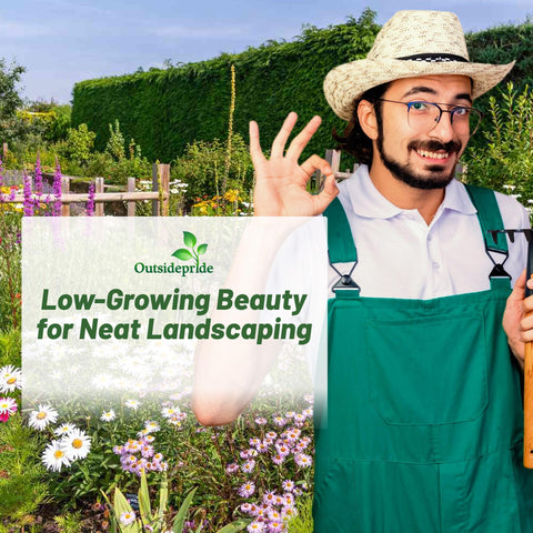 Outsidepride annual-perennial mix provides long-season color across beds and meadows.
