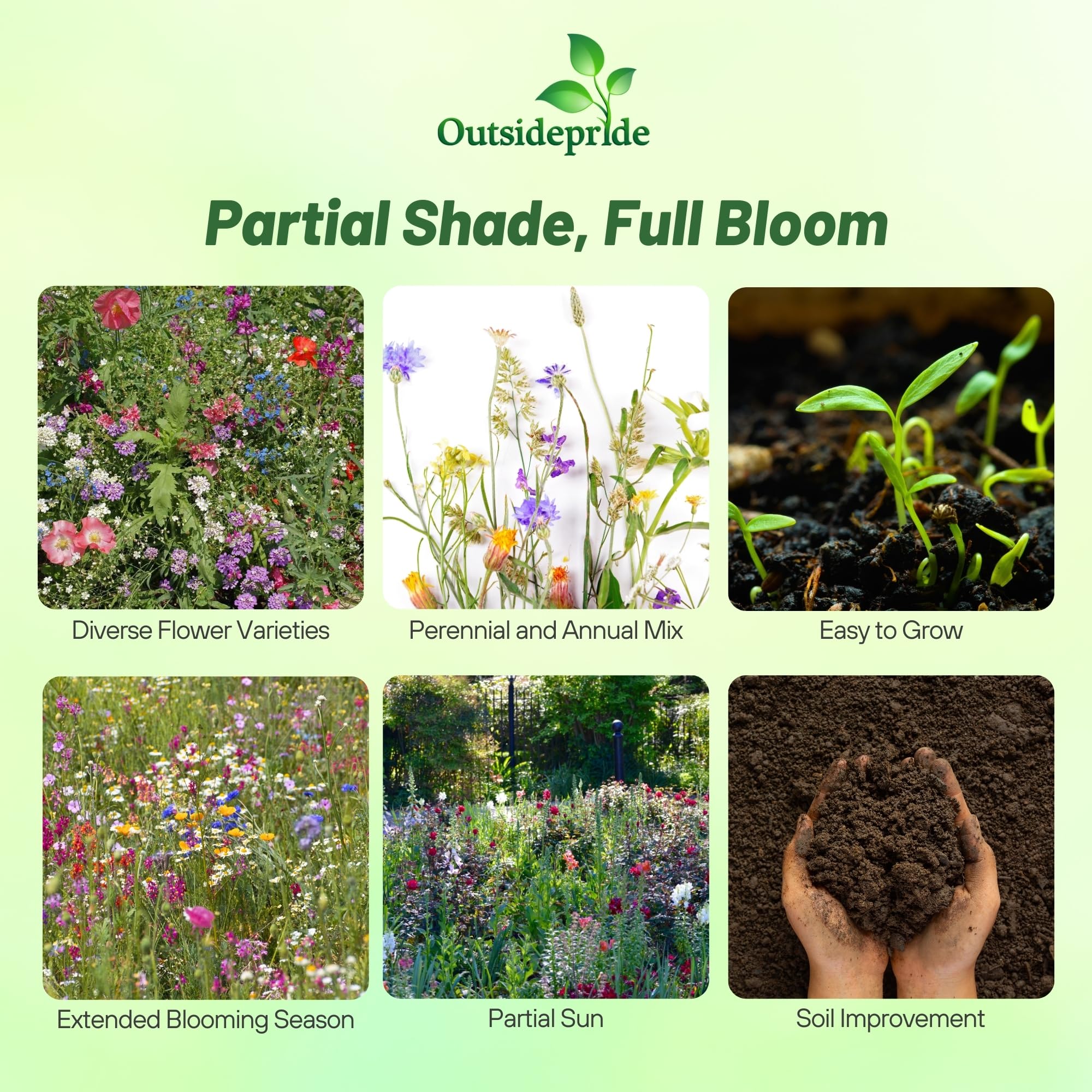 Outsidepride annuals and perennials blend delivers quick spring color for shaded yards