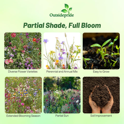 Outsidepride annuals and perennials blend delivers quick spring color for shaded yards