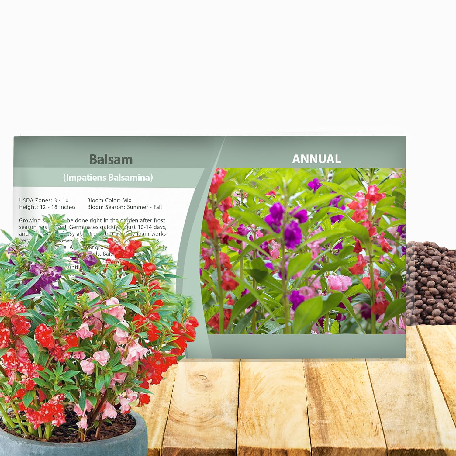 Outsidepride balsam impatiens seeds packet showcases vibrant color for garden beds.