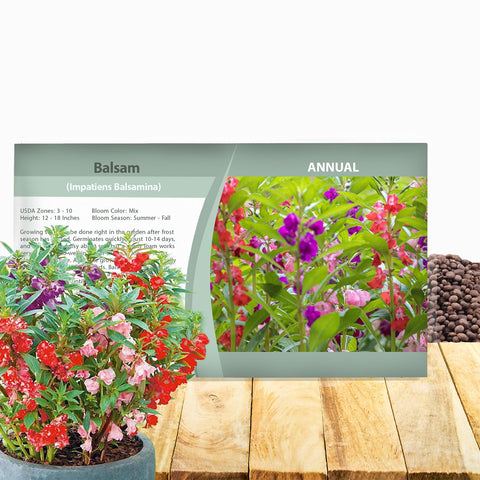 Outsidepride balsam impatiens seeds packet showcases vibrant color for garden beds.