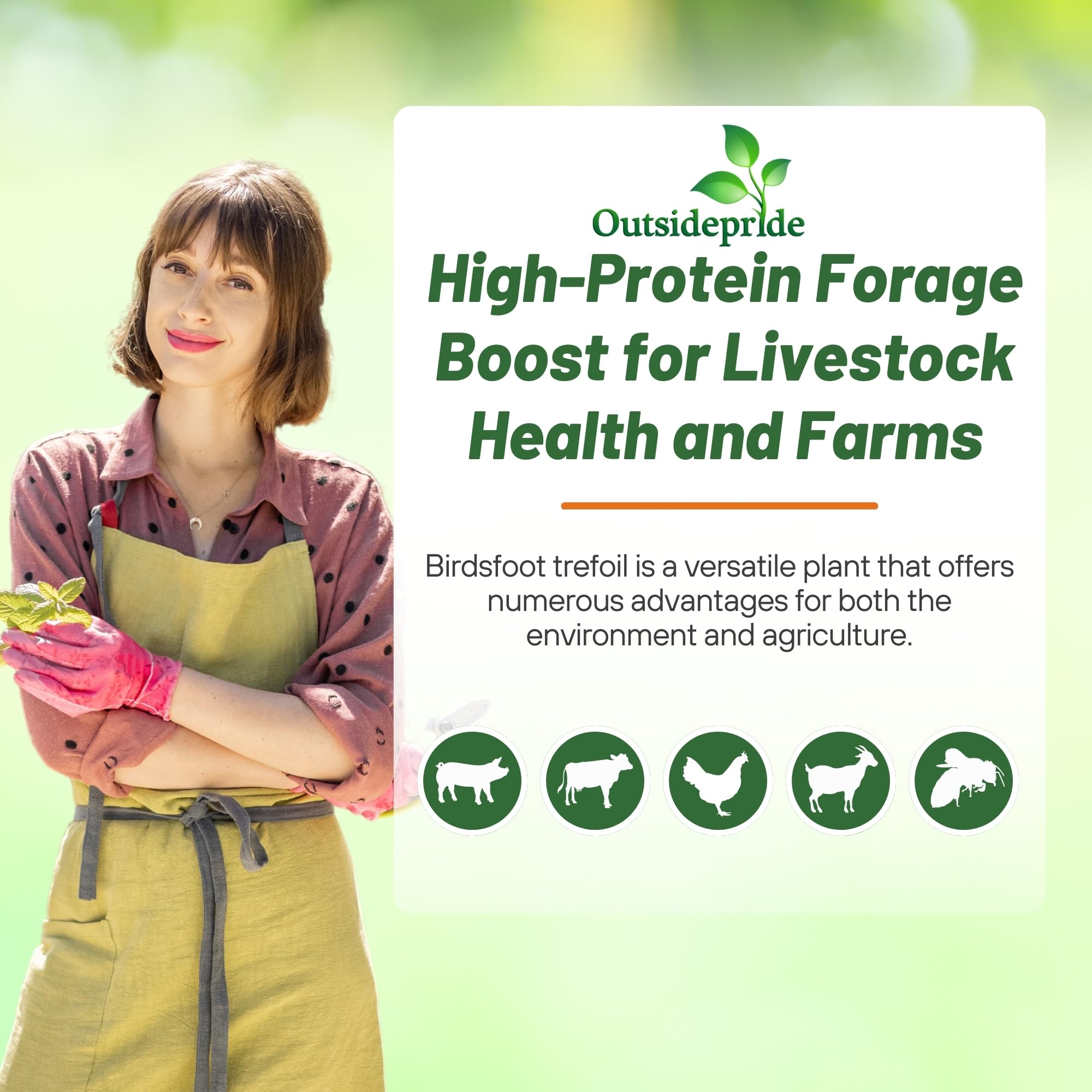 Outsidepride birdsfoot trefoil blends with grasses and flowers in pollinator habitats.