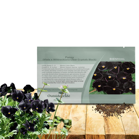 Outsidepride Black Viola Pansy seeds ready for planting in beds with fragrance.