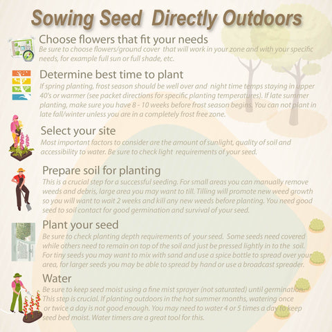 Hanging basket display with Outsidepride Black Viola Pansy seeds for vertical interest.