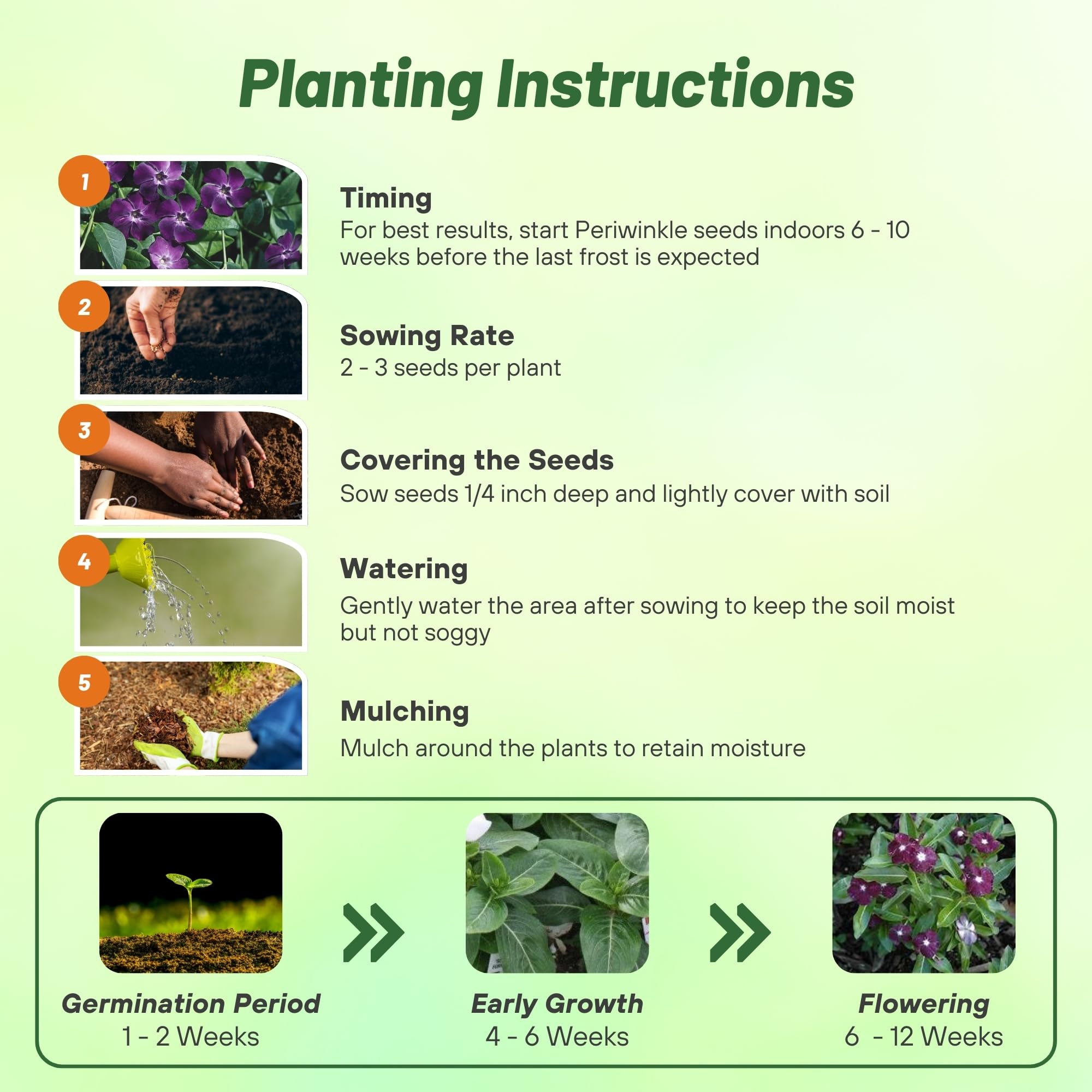 Outsidepride BlackBerry Periwinkle border garden bed edging with color