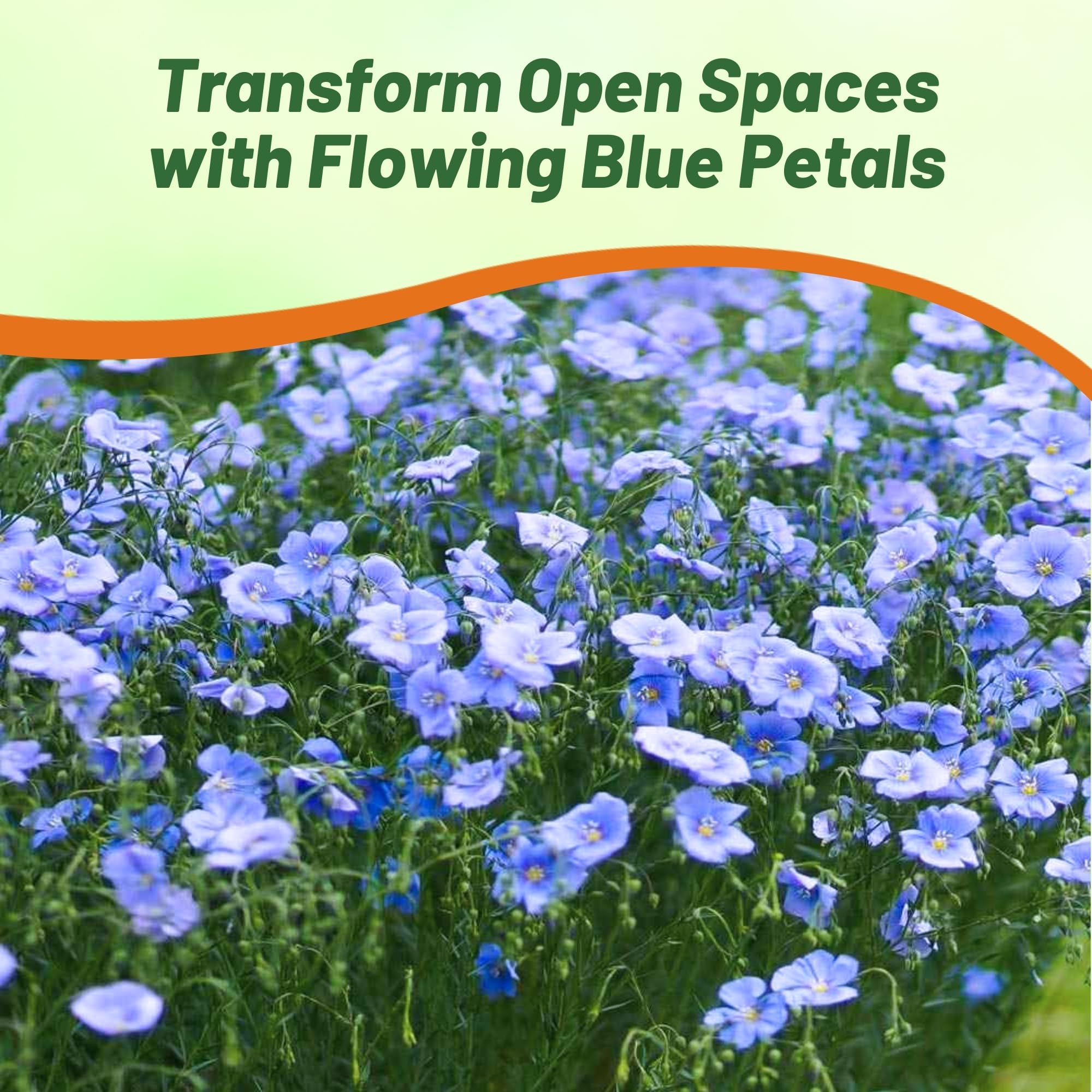 Outsidepride Blue Flax Seeds can help deter deer while brightening your landscape.