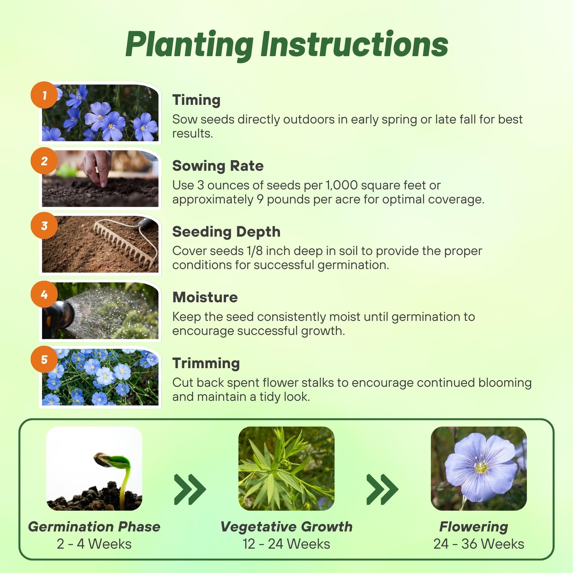 Outsidepride Blue Flax Seeds self-seed softly for ongoing color in established borders.