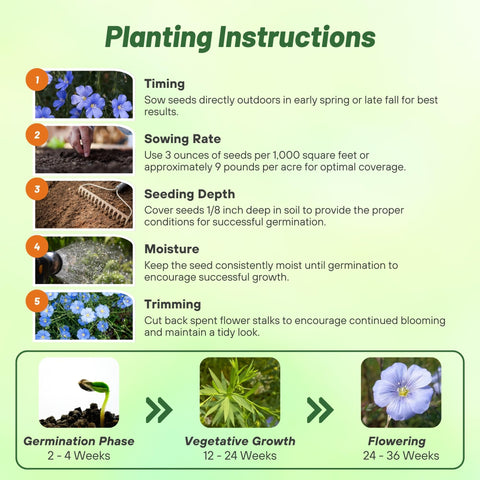 Outsidepride Blue Flax Seeds self-seed softly for ongoing color in established borders.