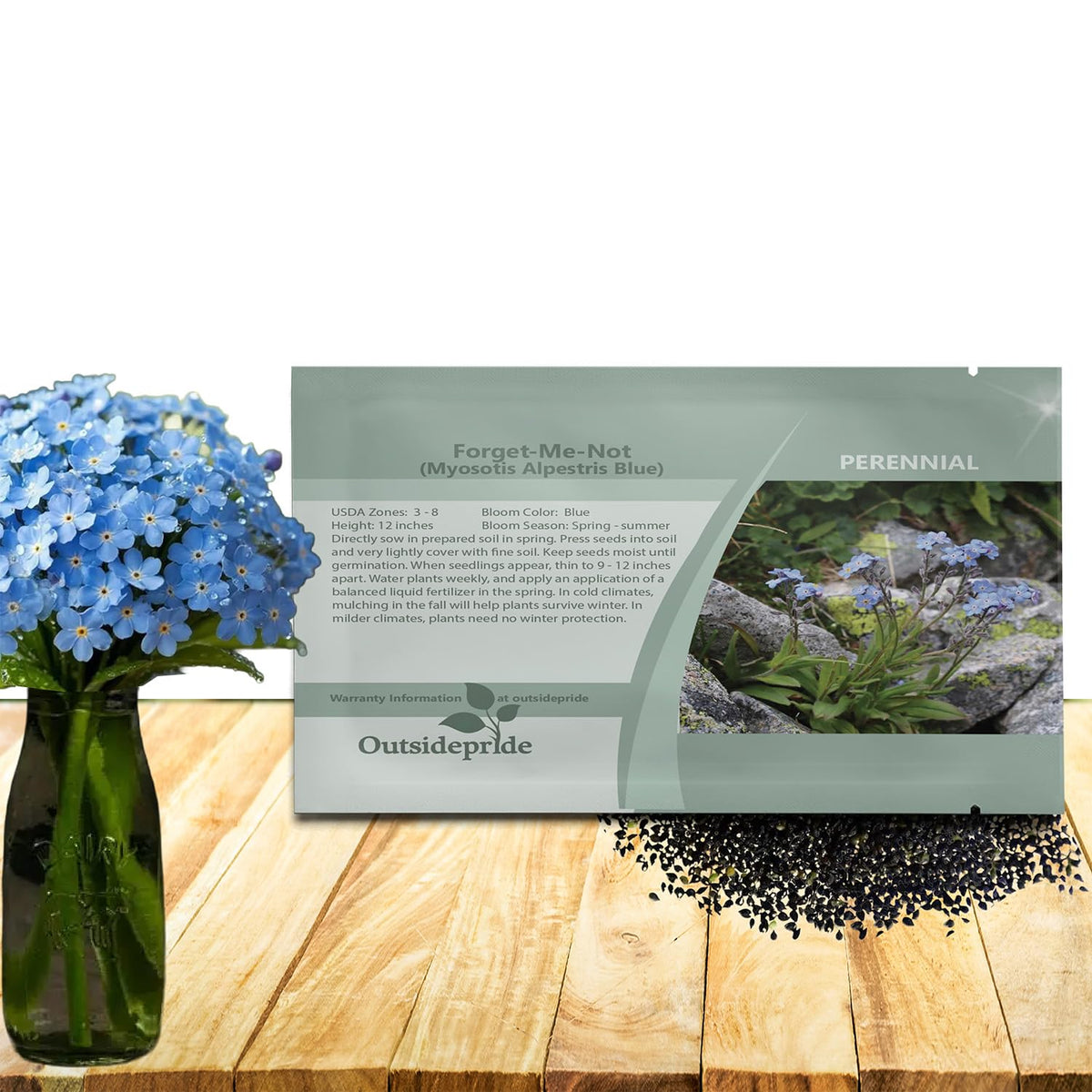 Outsidepride Blue Forget-Me-Not seeds form dense blue blooms for vibrant borders.
