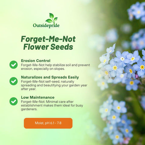 Outsidepride Blue Forget-Me-Not seeds bloom from late spring to early summer.