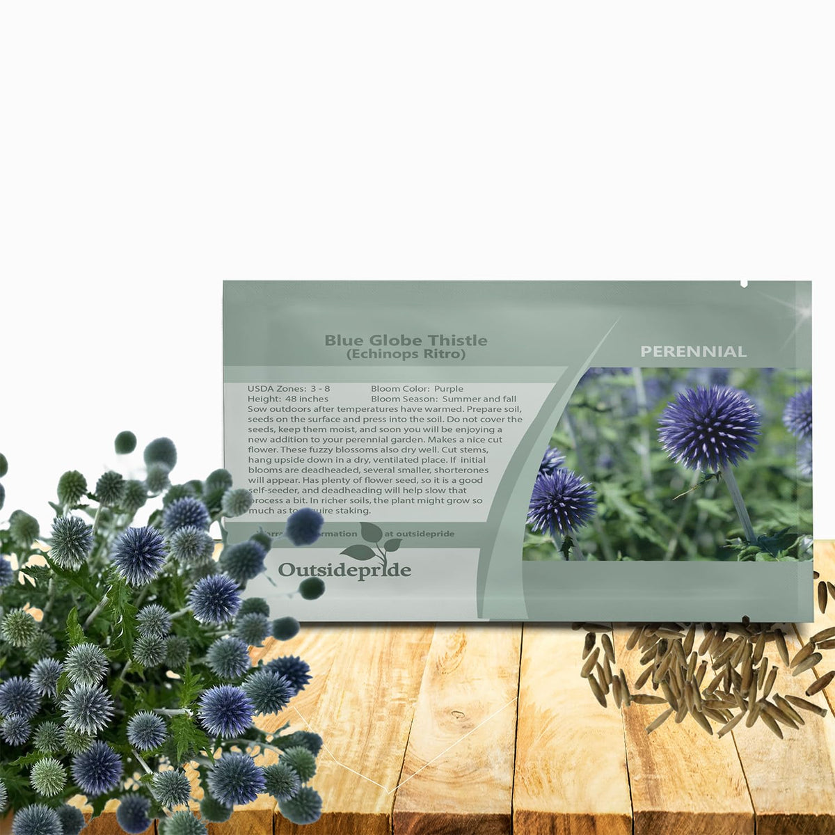 Outsidepride Blue Globe Thistle seeds bloom into vibrant globe flowers ideal for sunny borders.