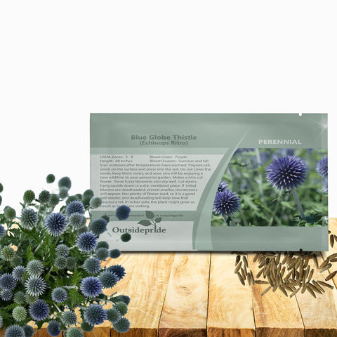Outsidepride Blue Globe Thistle seeds bloom into vibrant globe flowers ideal for sunny borders.