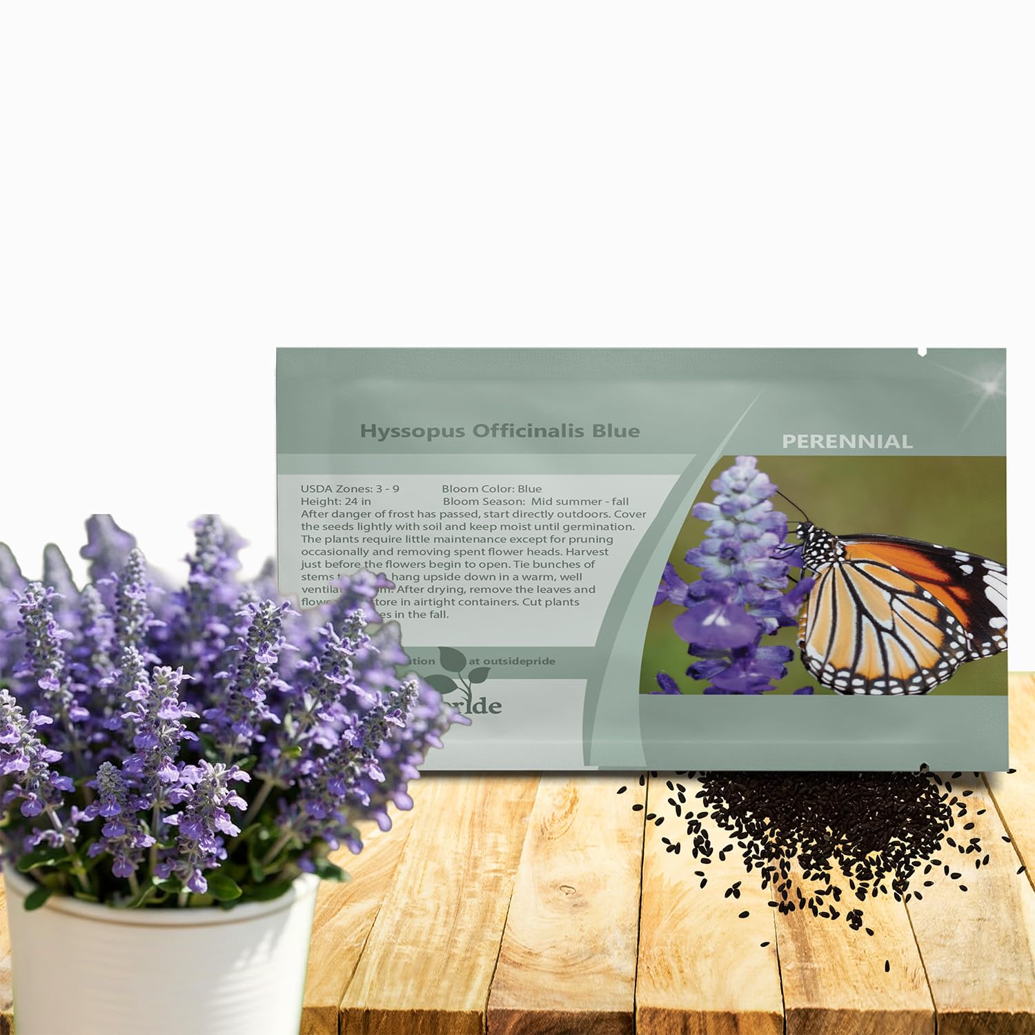 Outsidepride Blue Hyssop seeds packaging shown for easy planning and planting