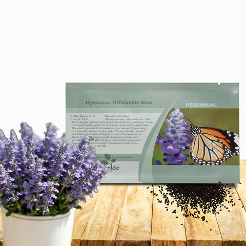 Outsidepride Blue Hyssop seeds packaging shown for easy planning and planting