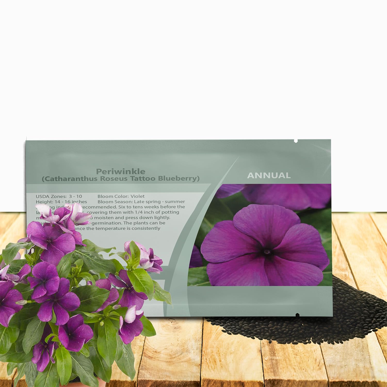 Outsidepride Blueberry Periwinkle seeds packet front showing vibrant border color.
