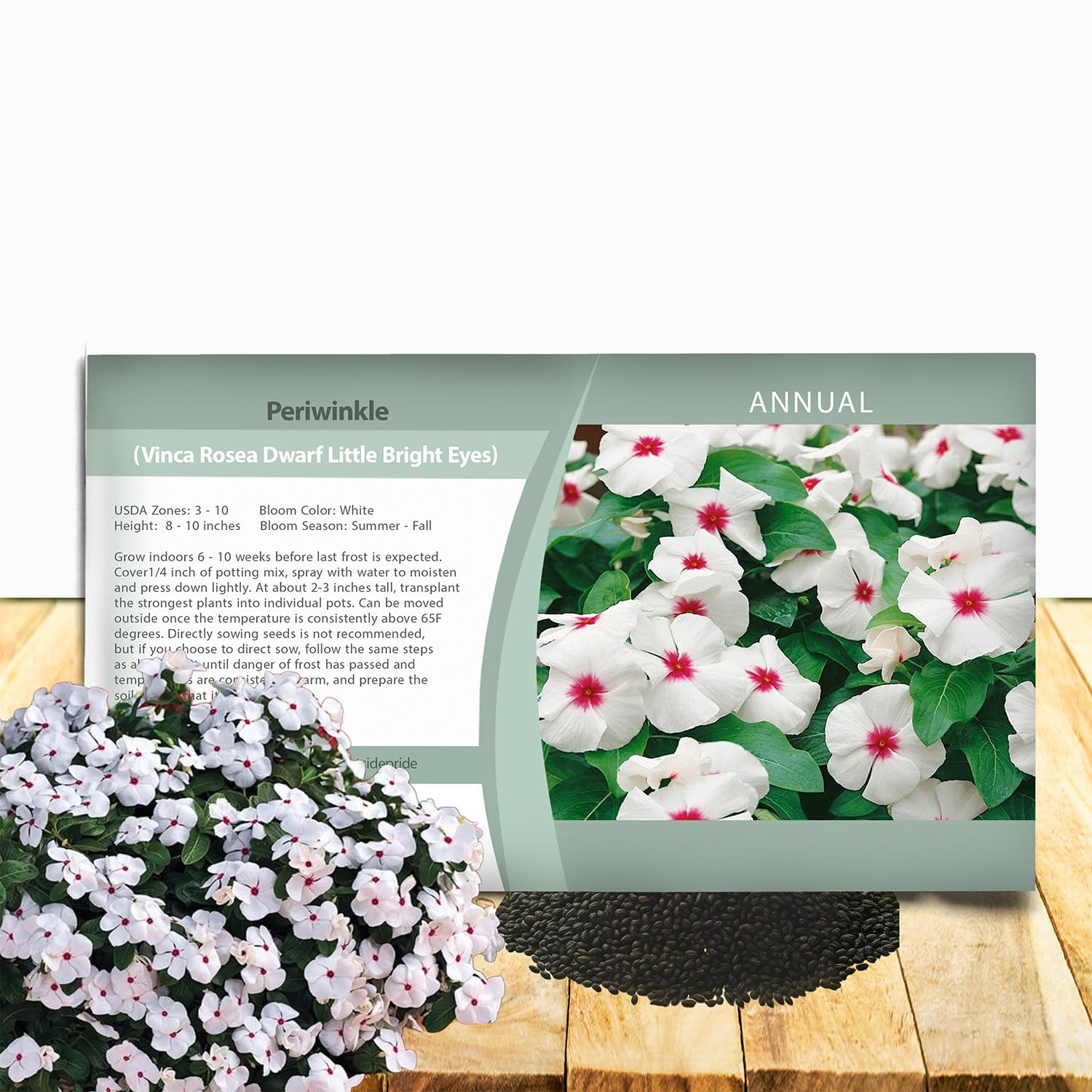 Outsidepride Bright Eyes Periwinkle seeds show early bloom for vibrant garden color.