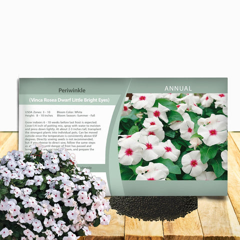 Outsidepride Bright Eyes Periwinkle seeds produce bright white blooms for sunny garden beds.