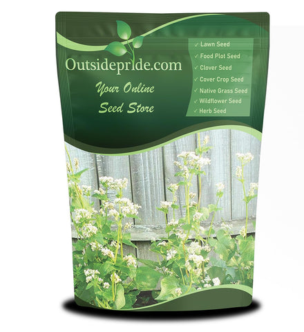 Outsidepride Buckwheat seeds in a 10lb bag ready for planting and soil health.