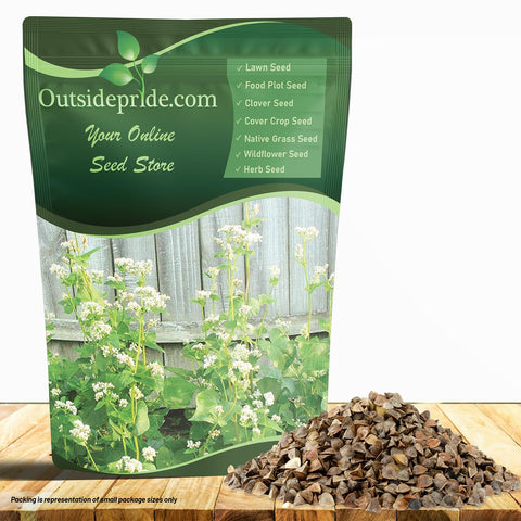 Outsidepride Buckwheat seeds 5lb bag for easy sowing and soil improvement