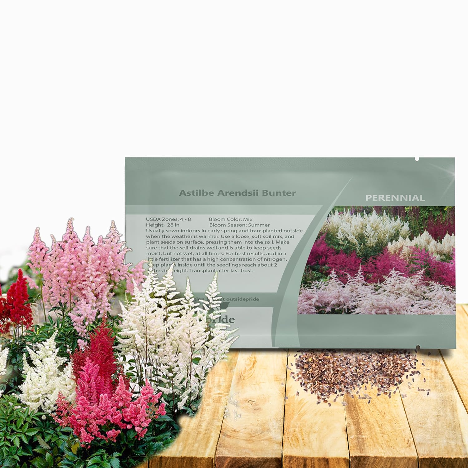 Outsidepride Bunter Astilbe seeds pack for shade garden planting and bloom potential