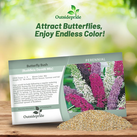 Outsidepride Butterfly Bush Mix attracts butterflies and hummingbirds, boosting garden life.