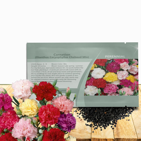 Outsidepride Chabaud Mix Carnation Seeds pack for vibrant garden color.