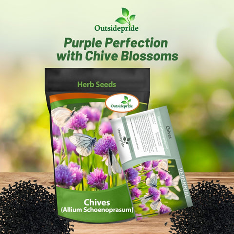 Outsidepride chives lavender flowers edible and decorative in summer.
