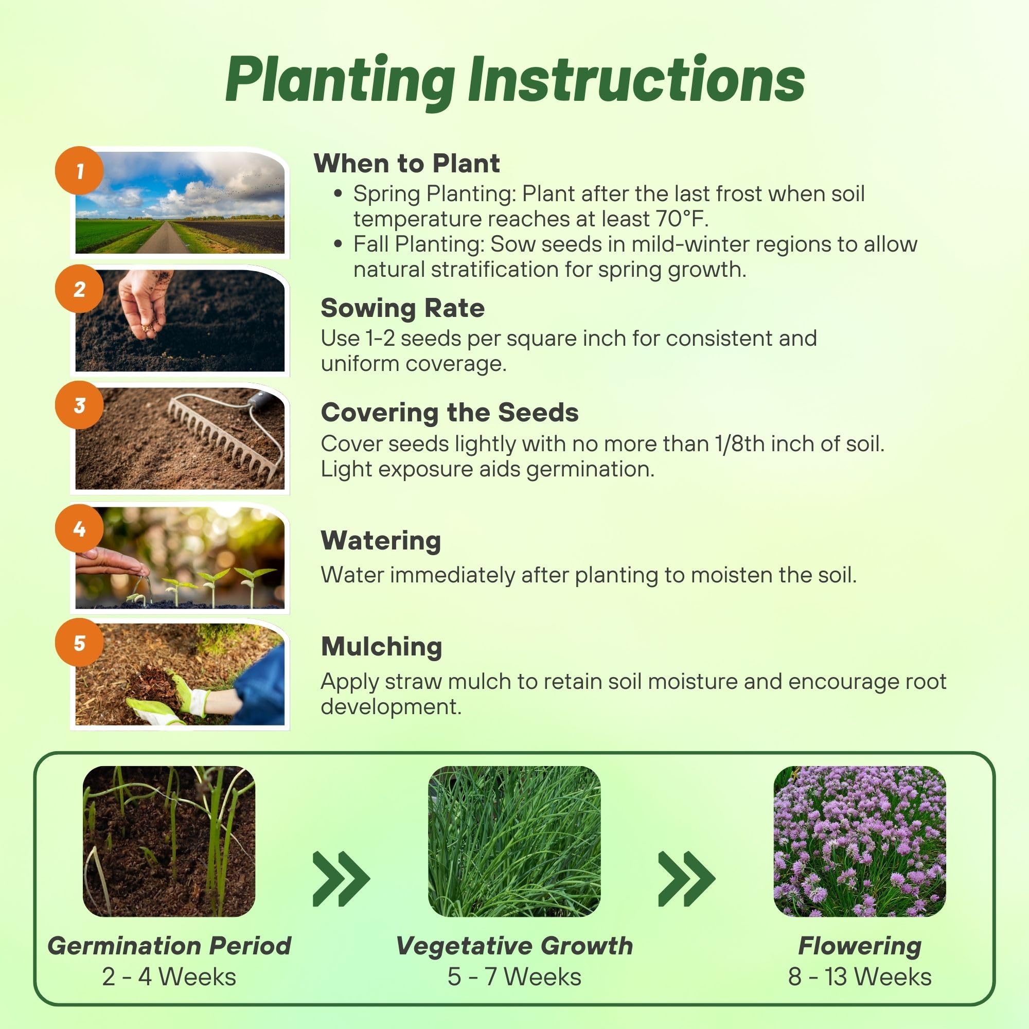 Outsidepride chives leaves hand-harvested for fresh cooking.
