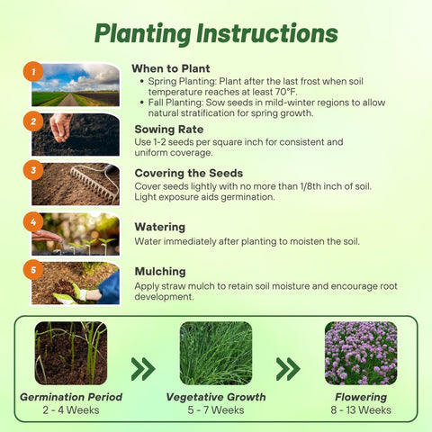 Outsidepride chives leaves hand-harvested for fresh cooking.
